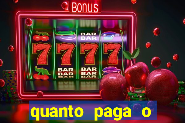 quanto paga o jungle fight